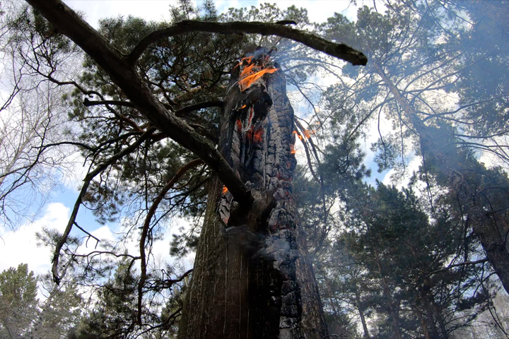 Возле Белелика ликвидирован лесной пожар 
